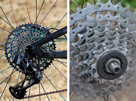 freewheel and cassette